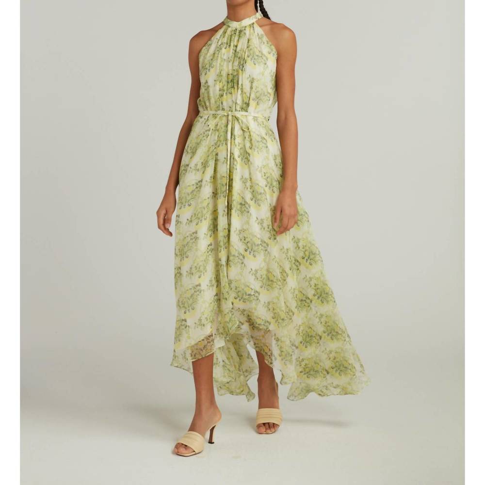 NEW SALONI irinia dress in terrarium lemon - Picture 6 of 6